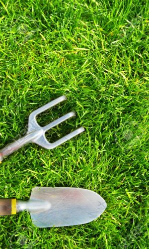 Gardening tools on green grass in the garden.
